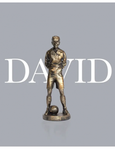 Escultura David