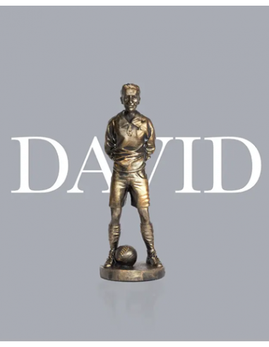 Escultura David