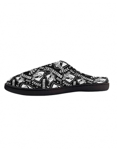 Pantufla cacique logo 2025 2