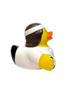 Albo duck 2