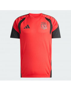 Camiseta de entrenamiento 2026