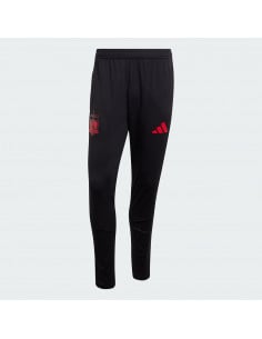 Pantalón de entrenamiento 2026