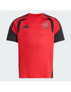 Camiseta de entrenamiento...