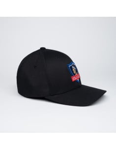 Jockey Colo-Colo escudo... 2