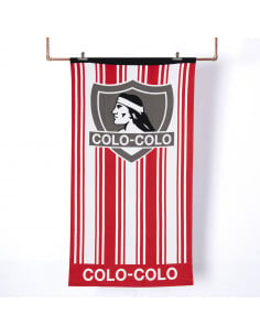 Toalla Playa C/Bolso 70x140...