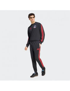 Pantalón ADN FW2026