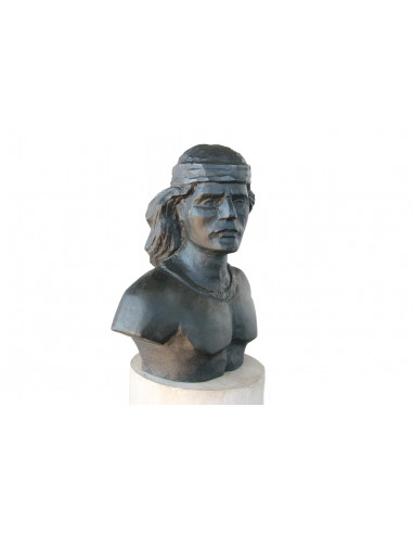 Colo-Colo monumento busto