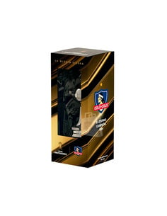 Replica Copa Libertadores... 2