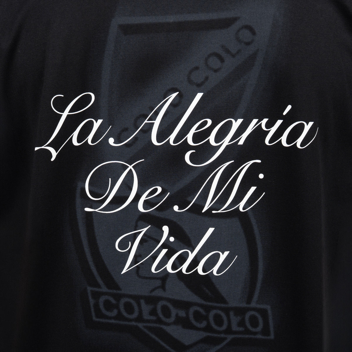 Polerón "La alegría de mi vida" 2026