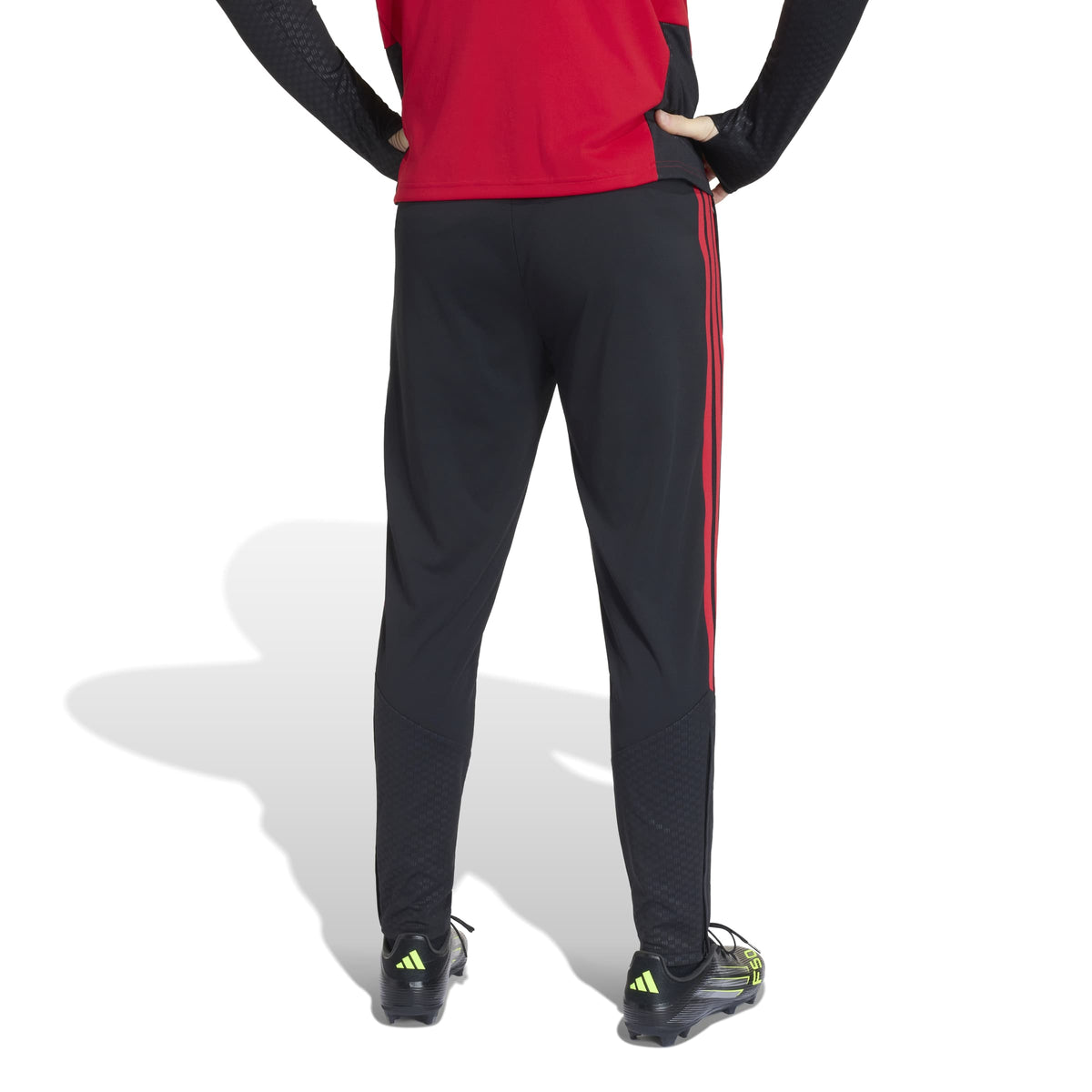 Pantalón de entrenamiento 2026