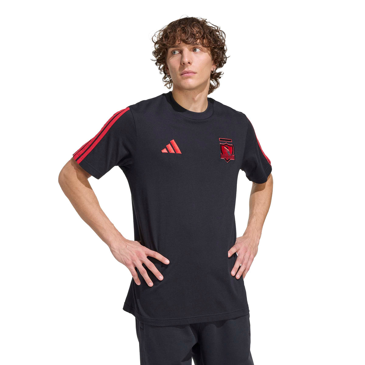 Polera ADN 2026