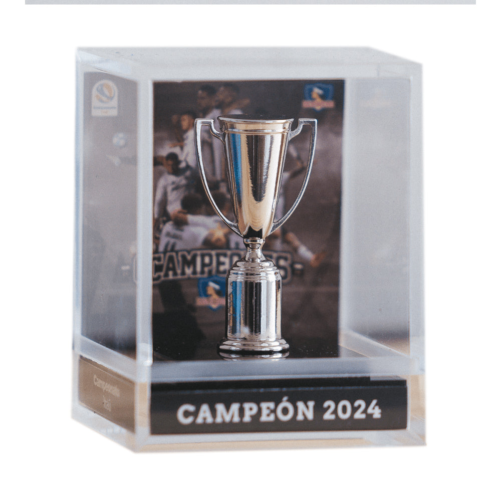 Réplica Campeonato Nacional Colo-Colo 34 Estrellas Acrilic Box 6 cms