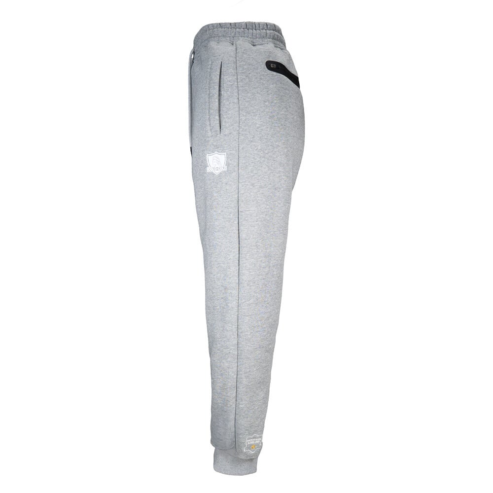 BUZO JOGGER GRIS COLO COLO