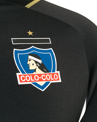 Camiseta entrenamiento 2024
