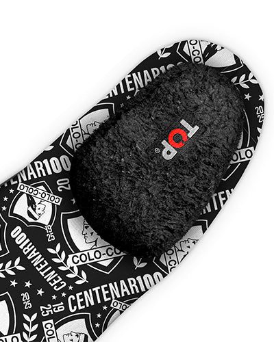 Pantufla cacique logo 2025