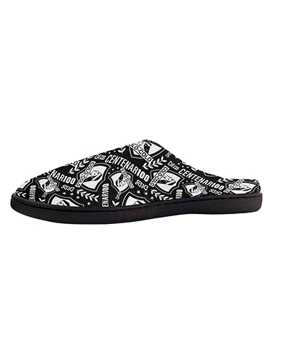Pantufla cacique logo 2025
