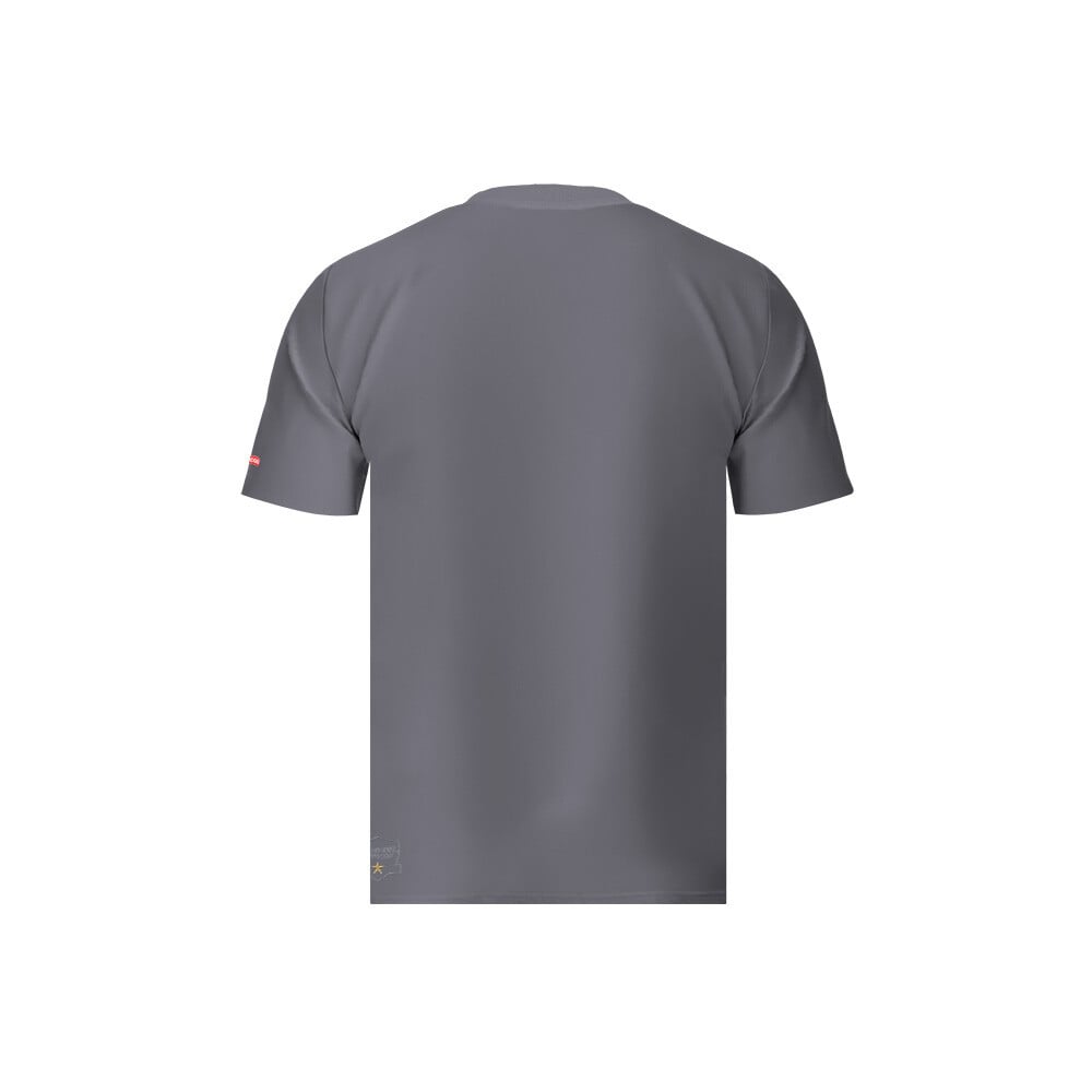 POLERA GRIS COLO COLO ESCUDO